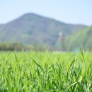 산소카폐 청송정원 (2) 이미지