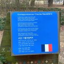 몽마르뜨 동물병원 이미지