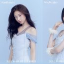 아사 카카오 검색결과