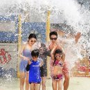 스플라스리솜 이미지