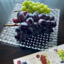 주식회사 농원 이미지