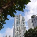 대치2-111 이미지