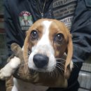 어연초등학교 이미지