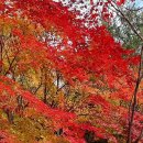 충숙근린공원 이미지