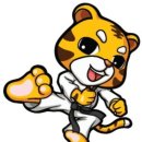 도화 태권도 이미지