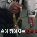 쿄다이텐동 이미지