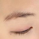 헤일로디자인