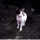 양정1동-08 이미지