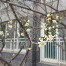 자명어린이공원 이미지