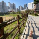 도래울의장대공원 화장실 이미지