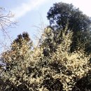 (주)지산농원 이미지