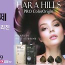 하라힐즈 - 영주시 영주로72번길 16-1 | 하라힐즈