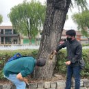 수원천로 이미지