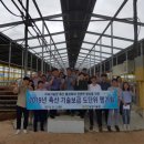영암축산
