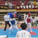 한국태권도체육관 이미지