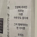반려생활연구소 동반