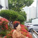 동부 할머니 이미지