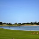 에버리스컨트리클럽 | 컨디션 좋은 제주도 골프장 가성비 좋은 제주 그린필드cc 예약 후기