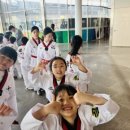 좌동 골든태권도장 이미지