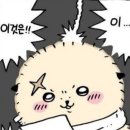 무스비 이미지