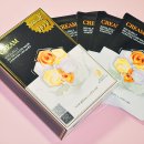 라파엘바이오 이미지