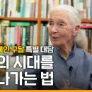 90세의 세계 최고 석학, 삶의 위기를 헤쳐나가는 법 | 제인 구달 Jane Goodall | 평화 생태 DMZ 희망 이미지