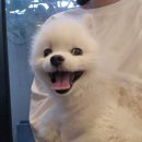 봄나래동물병원 이미지