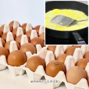 홍천자연랜드 | 난각번호2번 계란이라 매일 먹기 안심이에요 홍천자연랜드 무항생제 유정란 40구 후기