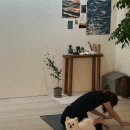 요가모아나