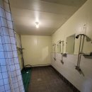 숲속의하모니 이미지