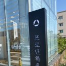 프로틴 하우스 이미지