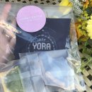 COMER COTTE 이미지