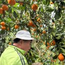 김용호 농장 이미지