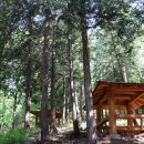 치유의 숲 이미지