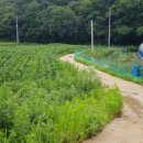 산과들공인중개사사무소 이미지