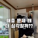 전남 광주 바퀴벌레 확실한 퇴치 안전한 방역으로 소문난 방역업체