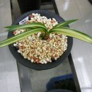 성원공사 이미지