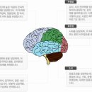 뇌종양의 진단과 치료에 관하여 이미지