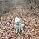 산골텃밭소식 일주일 내가 사는이유의 모습 이미지