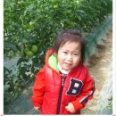 지만농장 이미지