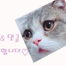 달레나순대국신장점