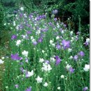 효성농장 이미지