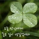 진영상사 이미지