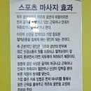 봉선교정원