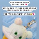 워터멜론케일 핸드메이드 인형 키링 구매 후기 (영롱 스프링클)
