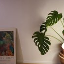 희도민박 이미지