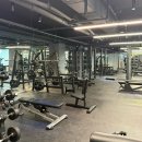 주식회사 핏해짐 | 안양 범계 PT 추천 24시간 헬스 핏해짐 범계점 솔직 수업후기