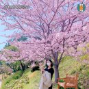 봉수경로당 이미지