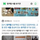 해뜨는장 이미지