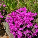 평산마을길 이미지